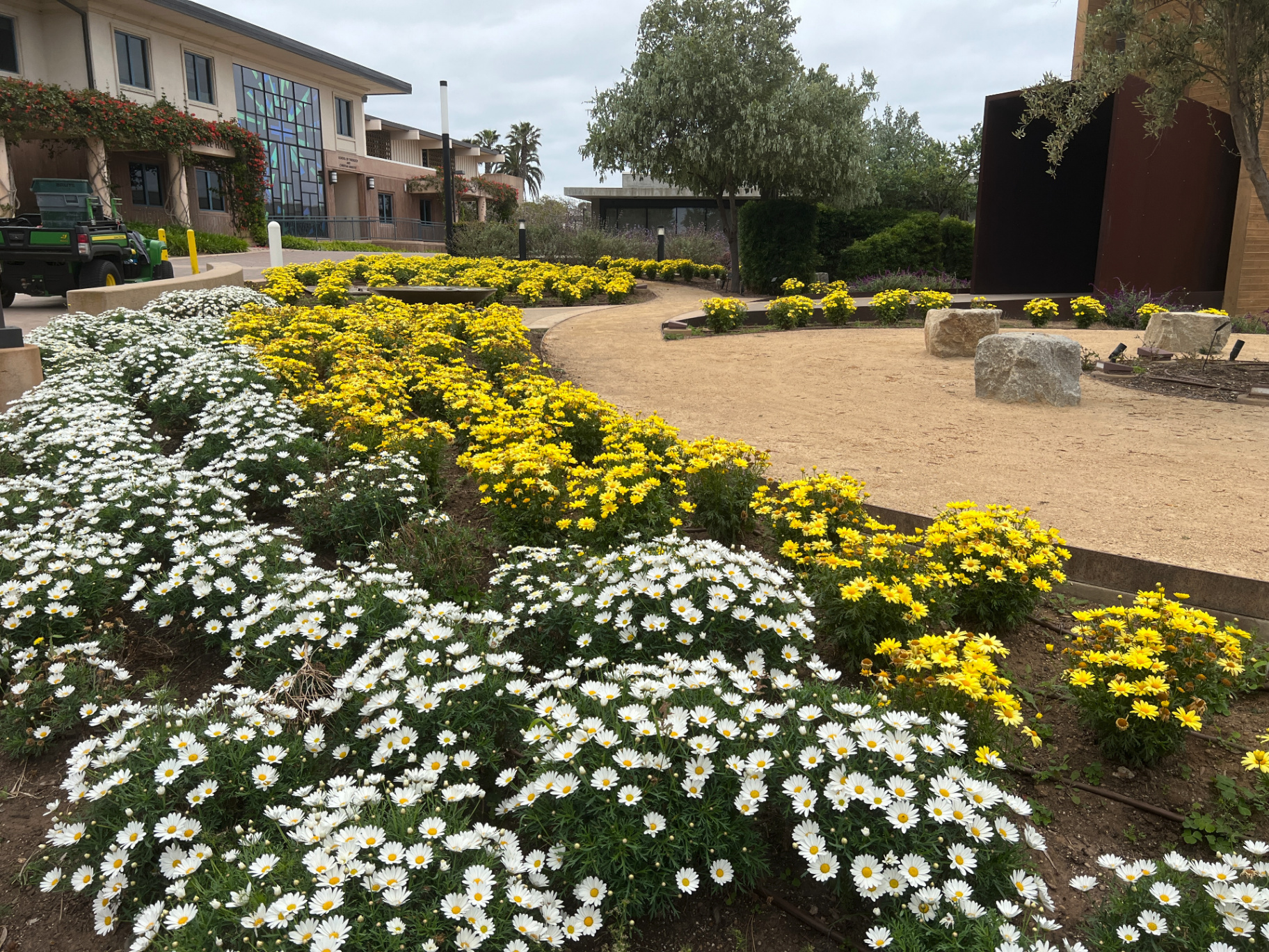 Point Loma Nazarene University Chapel installed landscape - Point Loma, San Diego